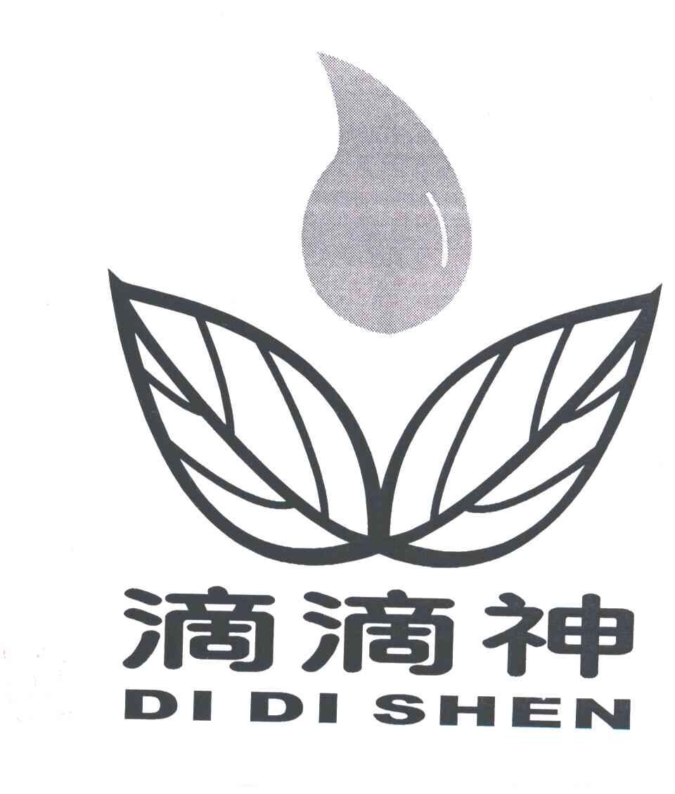 滴滴神