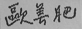 欧美肥
