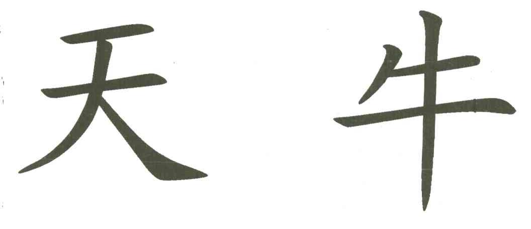 天牛