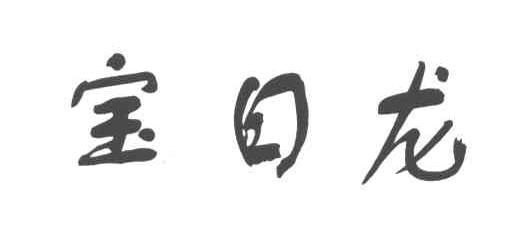 宝日龙