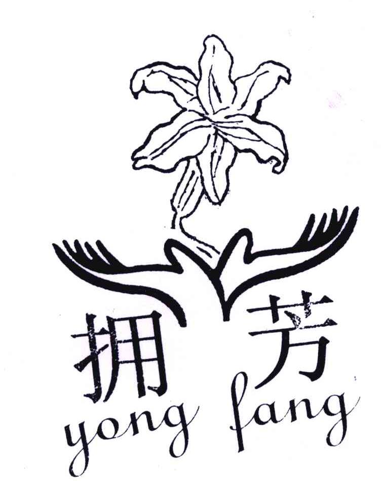 拥芳