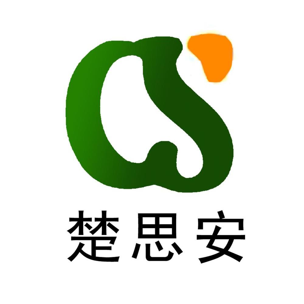 楚思安 CS