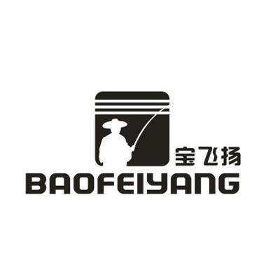 宝飞扬