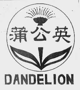 蒲公英