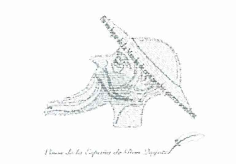 VINOS DE LA ESPANA DE DON QUIJOTE