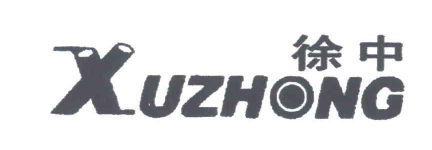 徐中;XU ZHONG