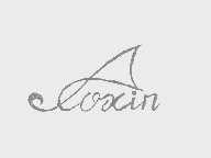 AOXIN