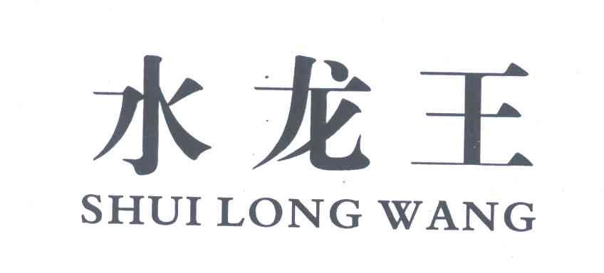 水龙王