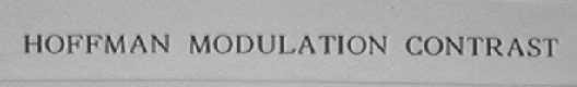 HOFFMAN MODULATION CONTRAST