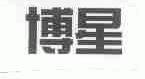 博星