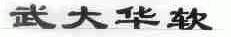 武大华软