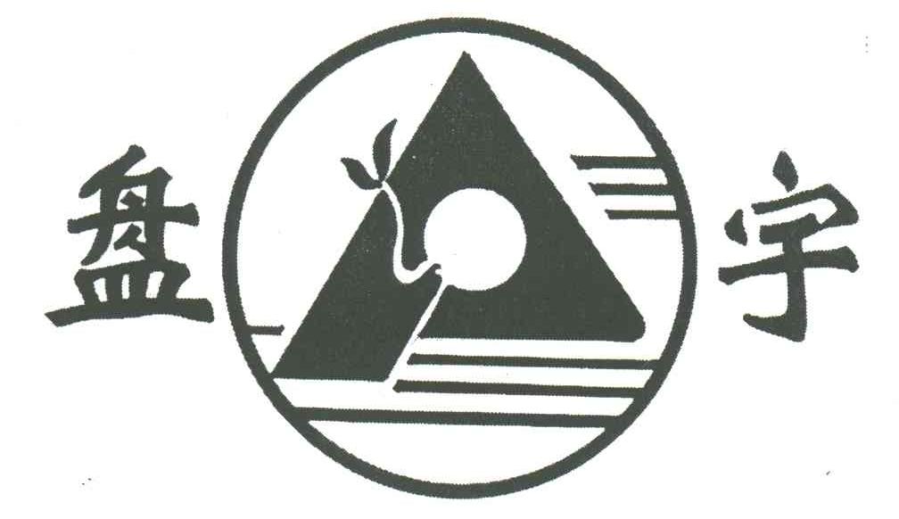 盘宇