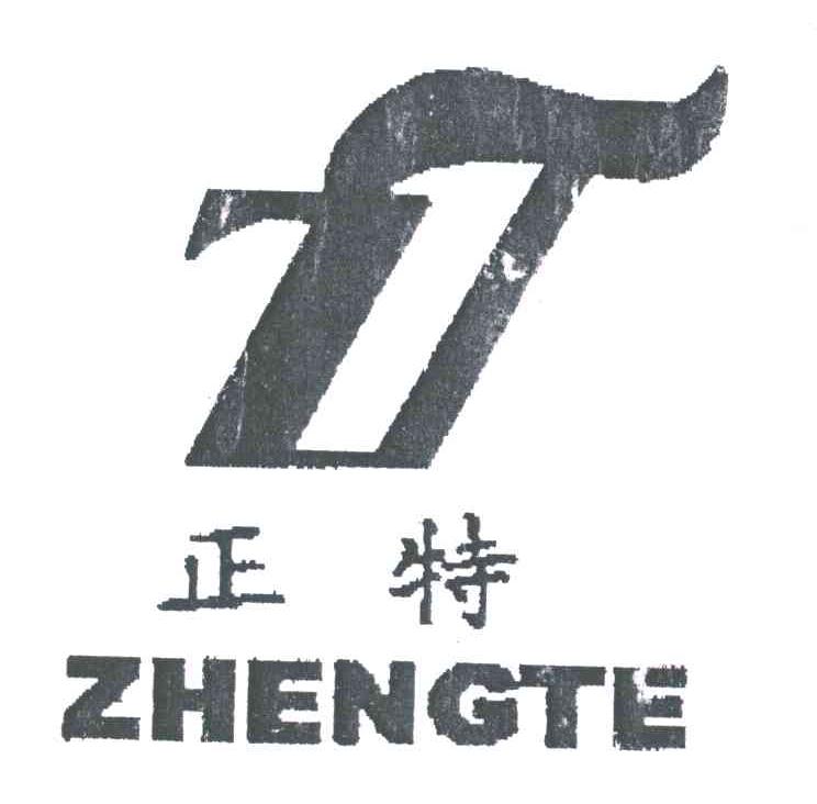 正特