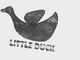 LITTLE DUCK