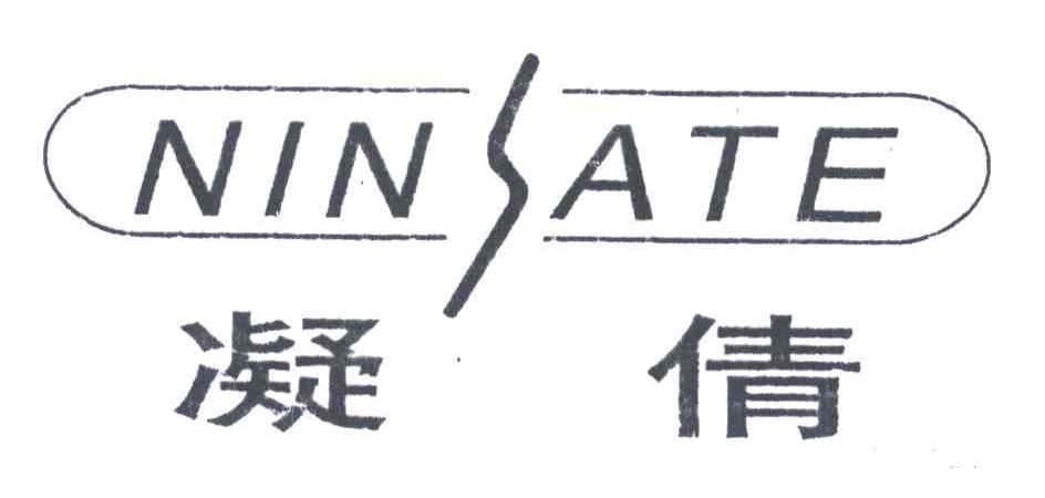 凝倩;NIN SATE