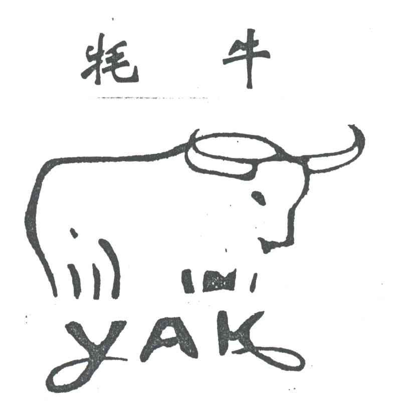 牦牛