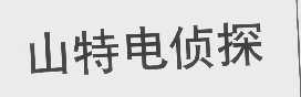 山特电侦探