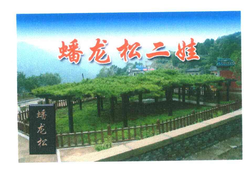 蟠龙松二娃