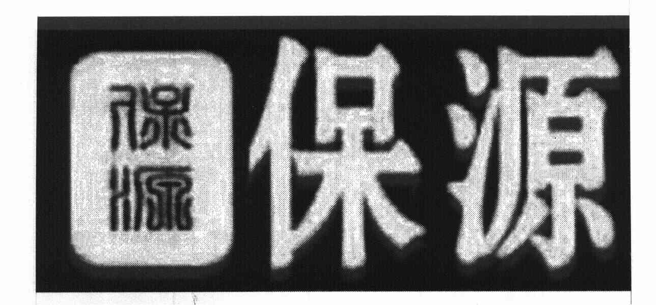保源