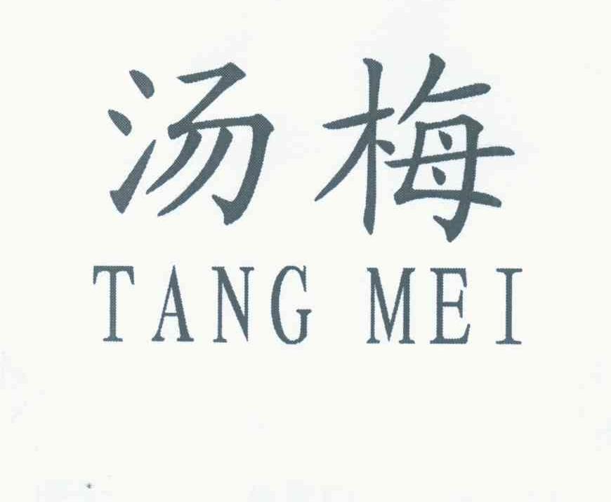 汤梅