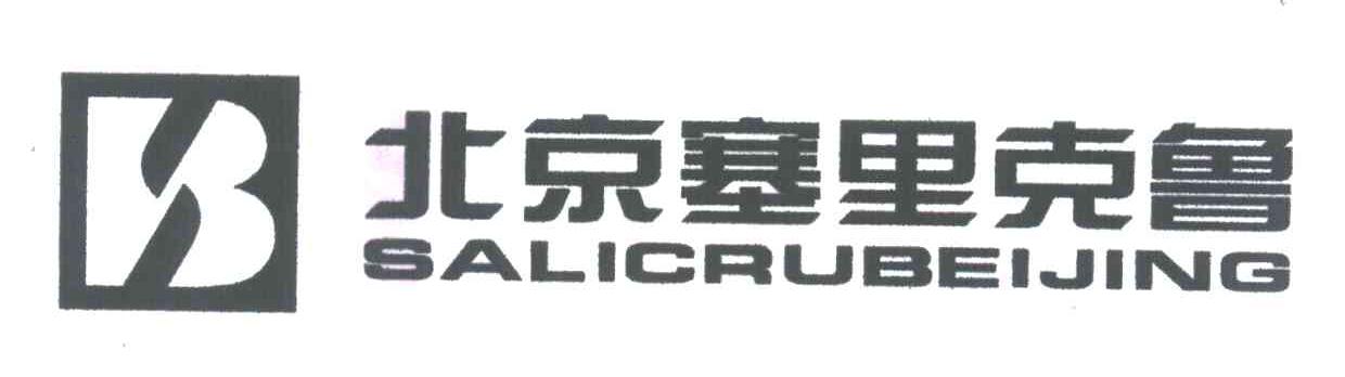 北京塞里克鲁;SALICRUBEIJING;B