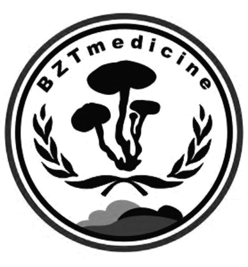 BZT MEDICINE