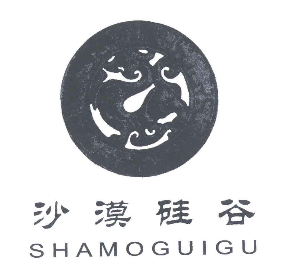 沙漠硅谷