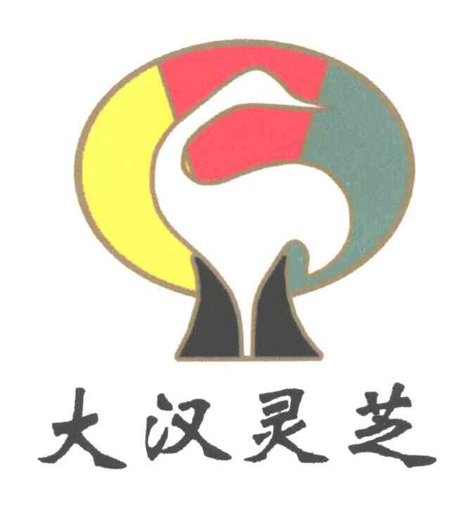 大汉灵芝