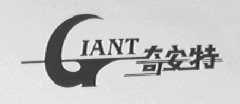 奇安特    GIANT