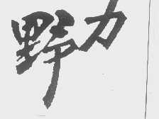 野力