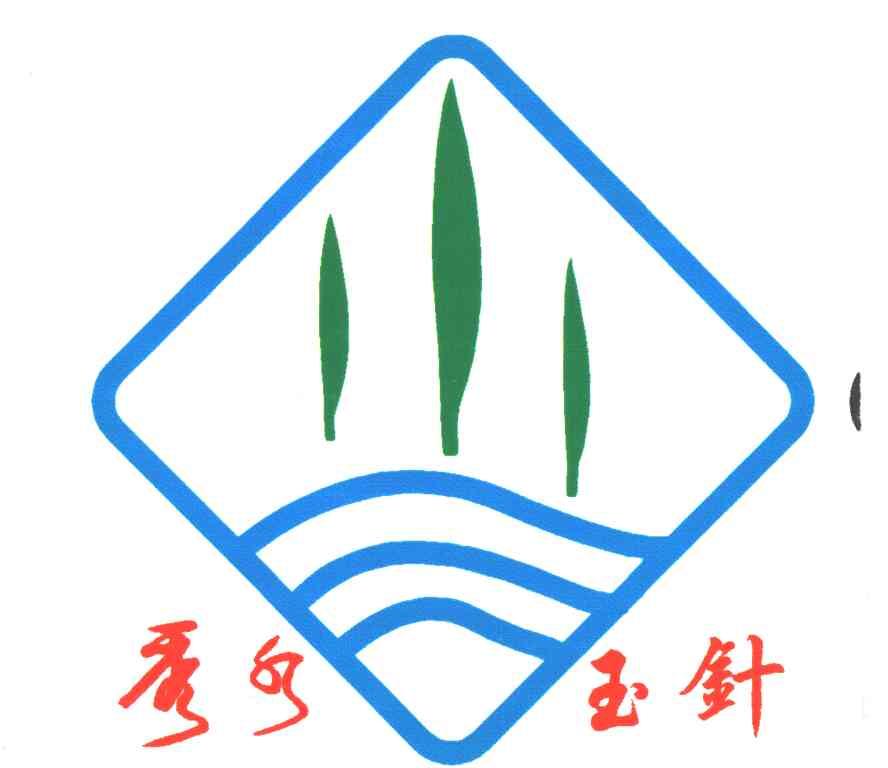 秀水玉针