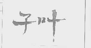 子叶