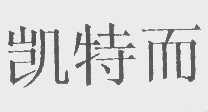 凯特而
