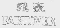飞豪   FABHOVER
