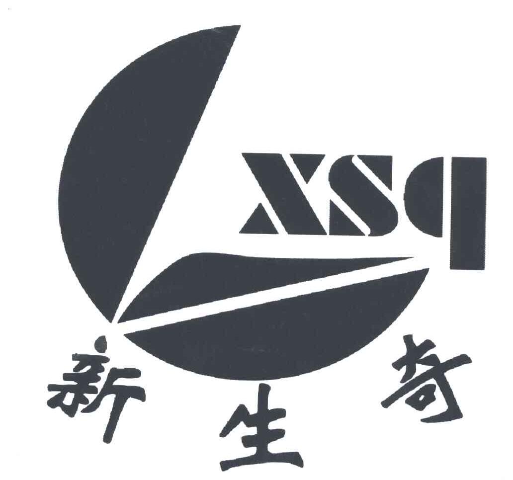 新生奇 XSQ