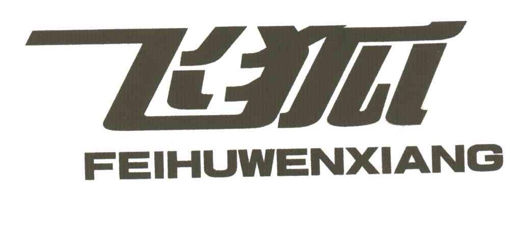 飞狐