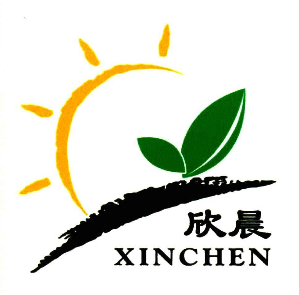 欣晨