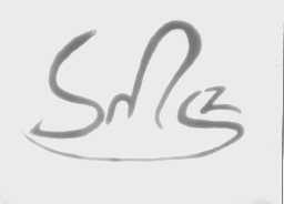 SMSZ