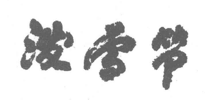 泼雪节