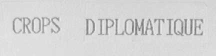 CORPS DIPLOMATIQUE