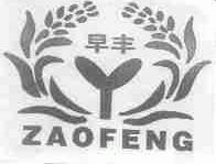 早丰