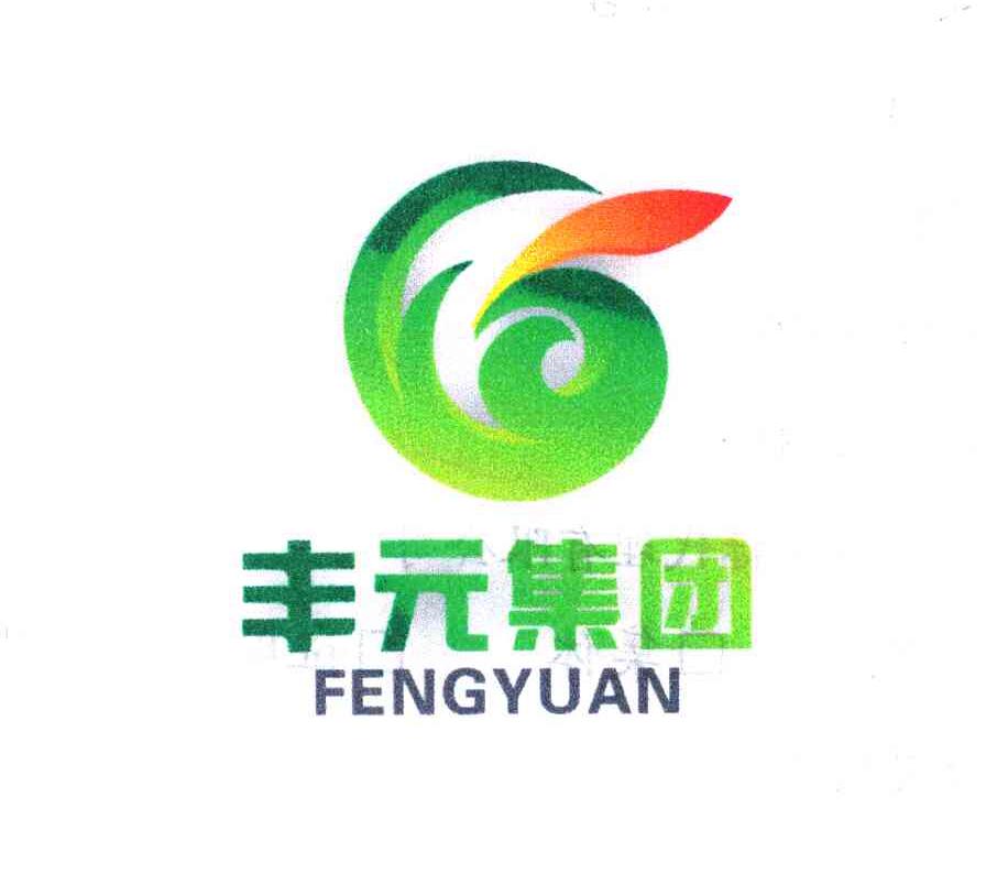 丰元集团 FENGYUAN