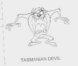 TASMANIAN DEVIL