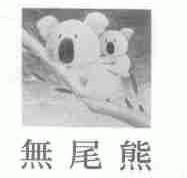无尾熊
