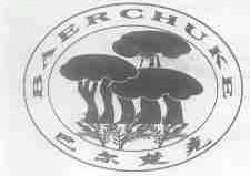 巴尔楚克