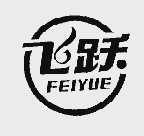 飞跃