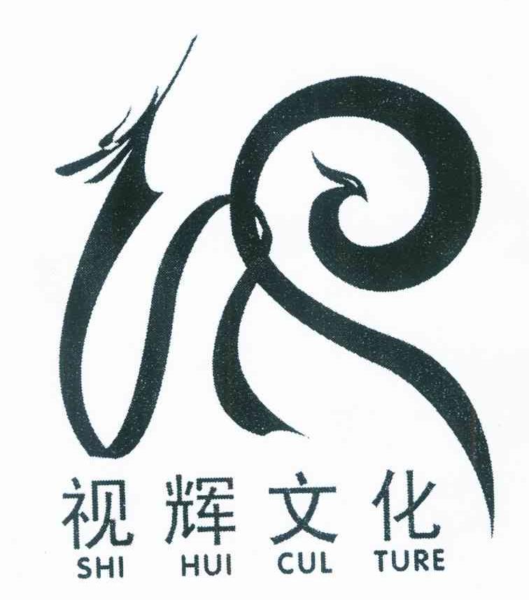 视辉文化