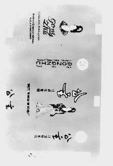公主