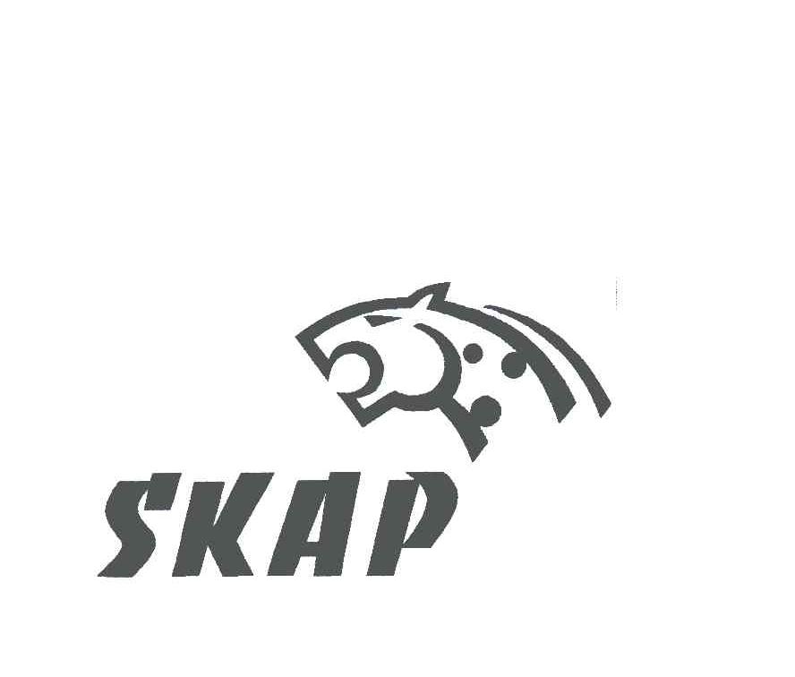 SKAP