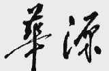 华源